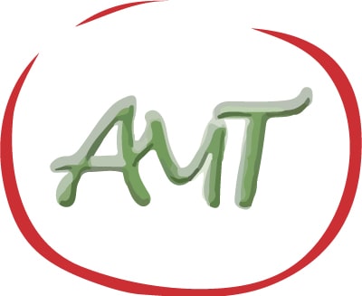 Logo AMT - Berufskraftfahrer in Hamburg